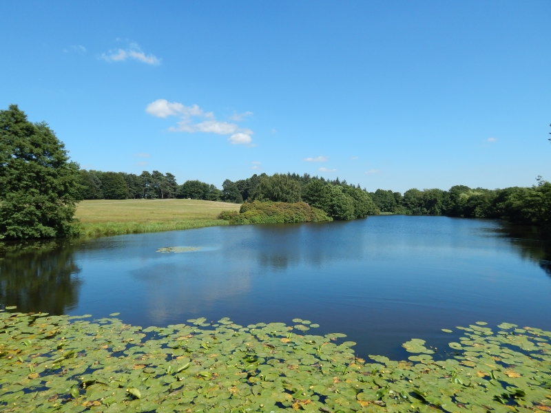 Capesthorne Hall